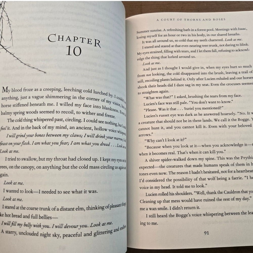 Sarah J. Maas A Court of Thorns and Roses ACOTAR Paperback Book - Picture 6 of 9